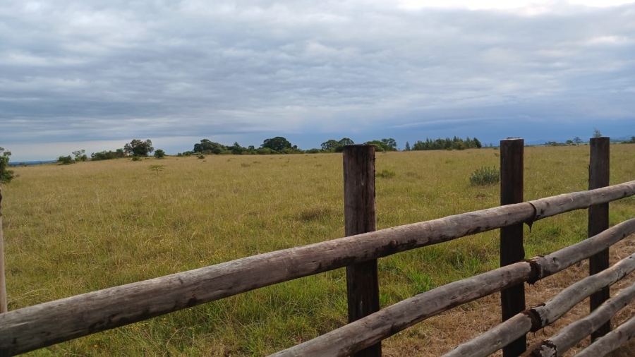 Commercial Property for Sale in Bathurst Rural Eastern Cape